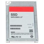 Dell 14025HS-MSSD-480G 480 Gb Solid Mixed SSD
