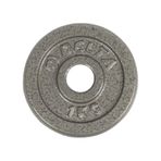 Delta 1 Kg Gri Döküm Plaka Ağırlık