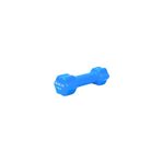 Delta 1 Kg Pvc Dambıl Ağırlık Vkd 171