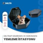 Delta Fare Yemleme Istasyonu Fare yemi hediyeli