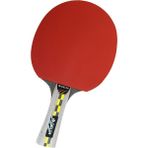 Delta Ittf Onaylı Masa Tenisi Raketi