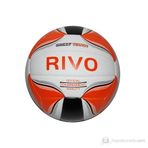 Delta Rivo Voleybol Topu