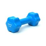 Delta Unisex Dambıl, Turkuaz, 2.5 kg