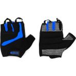 Delta Wings Ağırlık Body Dambıl Halter Mavi L Fitness Eldiveni