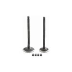 Deltaforce Emme Egzoz Sübap Takımı Cf Moto Nk 150 - Standart