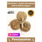 Deluxe Özel Dikime Hazır Yerli Üretim Büyük Boy 1. Kalite Safranbolu Safran Bitkisi Soğanı - 4 Adet 4 Crocus Sativus Mis Kokulu