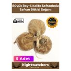 Deluxe Özel Dikime Hazır Yerli Üretim Büyük Boy 1. Kalite Safranbolu Safran Bitkisi Soğanı - 5 Adet 5 Crocus Sativus Mis Kokulu
