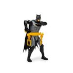 Deluxe Özellikli Batman Figürü