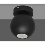 Demet Habek My Lights Mylights Siyah Spot Tekli Küre Panasonıc Ampullu Gun Isıgı Aplik Armatür Avize Plpfonyer Avize