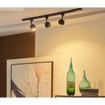 Demet Habek Mylights 1 Mt Kure Ray Spot Panasonic Gün Işığı Ampullü Hareketli Ray Spot Ray Avize Hareketli Başlık