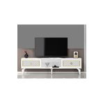 Demonte Decor 2 Kapaklı, Raflı Herry Tv Sehpası Alt Modül Beyaz-Altın