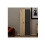 Demonte Decor Aryadd (B) 2 Kapaklı Antrasit Gardrop