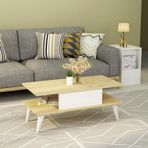 Demonte Decor Betta Klasik Orta Sehpa Safirmeşe-Beyaz