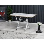 Demontepark 60 x 100 cm Katlanır Masa Kamp Masası Karavan Masası Mutfak Masası Balkon Masası Çalışma Masası Beyaz