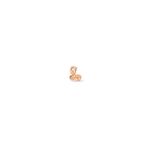 Deniz Atı Altın Tragus Piercing