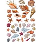 Deniz Canlıları Sticker Set-1 18 Parça Telefon, Tablet, Defter, Laptop Sticker