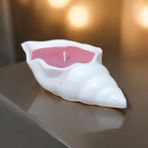 Deniz Kabuğu Soya Mumu Gallery Nd Candle Beton Mumlukta Kırmızı - Beyaz - Kırmızı - 1 Adet