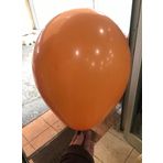 Deniz Party Store KARAMEL LATEX BALON 10 ADET 12 İNÇ