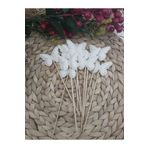 Deniz Party Store KREM PULLU KELEBEK Uzun Kürdan 16 Cm 10 Adet