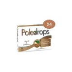 Deniz Pharma Poledrops Zencefil & Tarçın Pastil 24 Adet - 4 Kutu