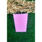 DENİZ Popcorn Kutusu ( Mısır , Cips Kutusu ) 8 Adet Pembe