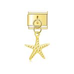 Deniz Yıldızı Gold Çelik İtalyan Charm
