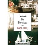 Denizde Bir Devekuşu - İsmail Oruç