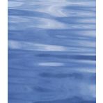 Dennis Scholl: Die Formen Der Gefasse