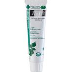 Dentiste Dentiste Dendiste Premium & Natürel Beyaz 100 gr Diş Macunu