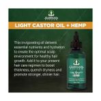 Depo Store Clubman Pinaud Light Castor Oil + Hemp Saç Bakım Yağı 118ML - 0 - 3 Yaş - 0 - Siyah