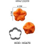 Depposite 2’li Kiraz Çiçeği Figürlü Gıda Silikon Kalıbı