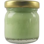 Depposite Seramik ve Çini Boya 40GR 8824 Iznik Turkuaz Yeşili