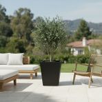 DEQQU Aura Conica 50X35CM Fiber Konik Saksı - Mat - Büyük Saksı - Fiberglass Saksı - Siyah