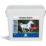 Derby Gastro Forte 5 Kg