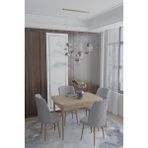 Deren Home Arya Serisi 70X110 Sabit Masa +4 Krem Sandalye Silinebilir Ithal Baby Face Kumaş - Gri
