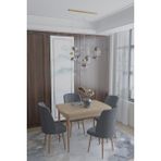 Deren Home Arya Serisi 70X110 Sabit Masa +4 Sandalye Silinebilir Ithal Baby Face Kumaş - Antrasit