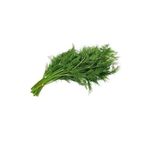 Dereotu Toros Meltemi Tohumu Paket 25 Gram