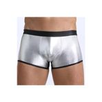 Deri Görünümlü Gümüş Erkek Boxer Tanga CK274607