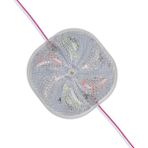 Derin Stok 12 Volt 3 Watt Karışık (R+G+B) Yanıp Sönen 6565-2835 Modül LED