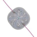 Derin Stok 12 Volt 3 Watt Rgb Yanıp Sönen 6565-2835 Modül LED