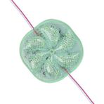 Derin Stok 12 Volt 3 Watt Yeşil Yanıp Sönen 6565-2835 Modül LED