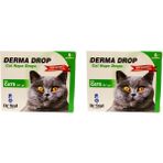 Derma Kedi Dış Parazit Damla 2 Kutu