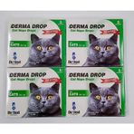 Derma Kedi Dış Parazit Damla 4 Kutu