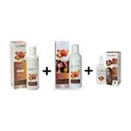 Dermaderm Argan 300 ml Şampuan + Argan Yağı Özlü 500 ml Saç Kremi + Argan Özlü Saç Bakım Sütü