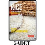 DERMAL 5 ADET Superfood Pirinç Yüz Maskesi Aydınlatıcı ve Pürüzsüzleştirici - 2