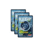 Dermal Blueberry Facial Sheet Mask Yenileyici Ve Canlandırıcı Yaban Mersini Yüz Maskesi 3'lü Set 25 Gr - Gri