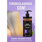 DERMALOG Turunculaşma Karşıtı Silver Mor Şampuan 500 ml