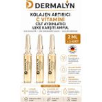 Dermalyn 3 Adet Kolajen Artırıcı C Vitamini Cilt Aydınlatıcı Leke Karşıtı Ampul Serum Dermaroller Dermapen