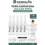 DERMALYN 5 Adet PDRN Somon DNA Kolajen İçeren Cildi Gençleştirmeye Yardımcı Ampul Serum Dermaroller Dermapen