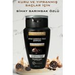 dermanew hair Siyah Sarımsak Özlü Şampuan - YAĞLI SAÇLAR İÇİN - Dökülen Saçlara Güçlendirici Bakım